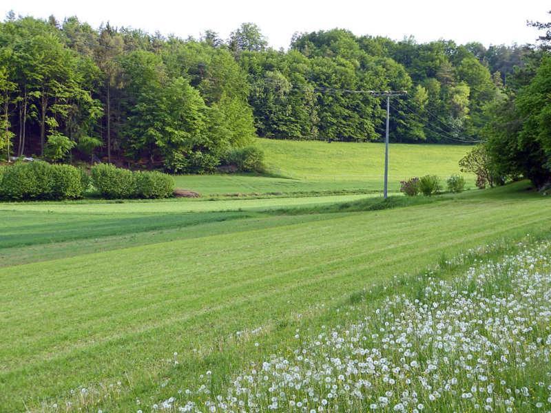 Landurlaub Wittmann Apartamento Pegnitz